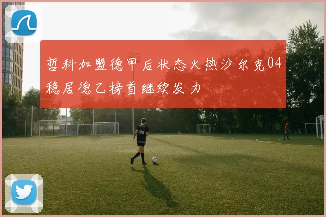 哲科加盟德甲后状态火热沙尔克04稳居德乙榜首继续发力