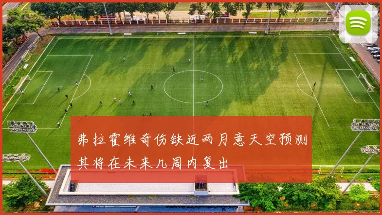 弗拉霍维奇伤缺近两月意天空预测其将在未来几周内复出